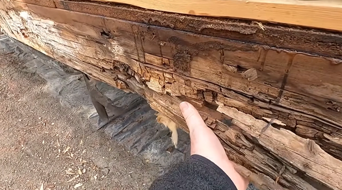 Water Damage Restoration in Denton, NE Rotted sill plate from water damage in Denton, NE