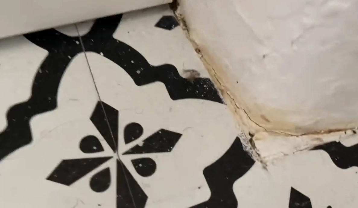 Water-stained tile floor documented during a contractor damage assessment in Lincoln, NE
