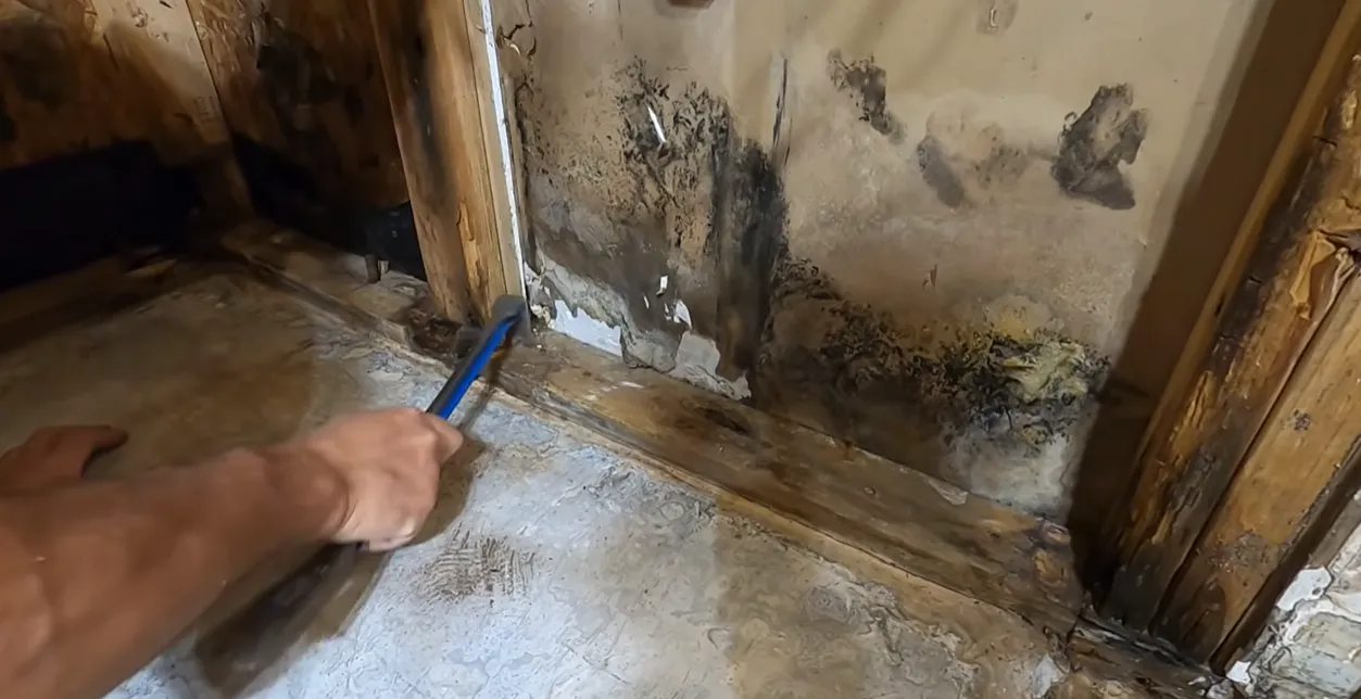 Mold growth on wall framing after water damage in Lincoln, NE