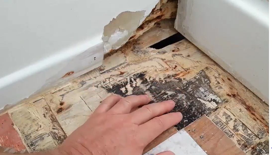 Privacy Policy, Water Damage Lincoln NE Water Damage Lincoln NE privacy policy