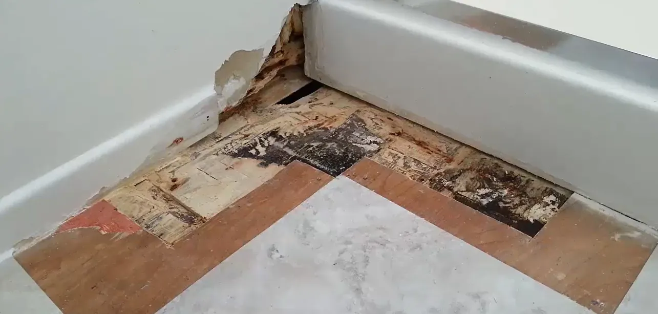 Water Damage Guide for Renters and Landlords in Lincoln, NE Moldy baseboard from water damage in a Lincoln, NE rental property