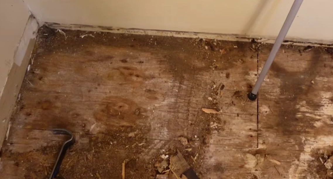 Damaged subfloor from water damage in South Salt Creek, Lincoln, NE