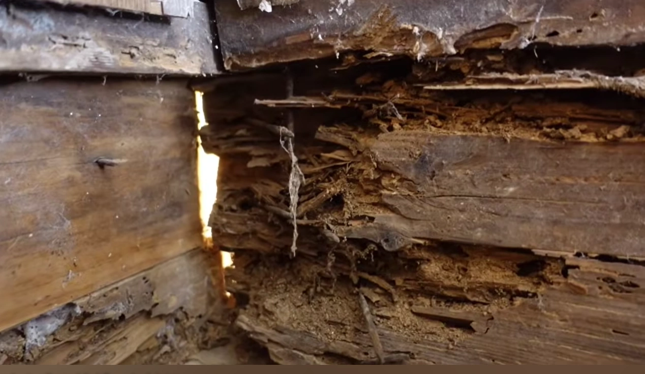 Structural wood rot from prolonged moisture damage in Lincoln, NE