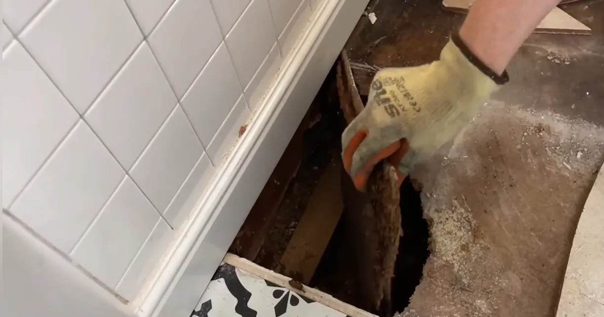 Terms and Conditions, Water Damage Lincoln NE Water Damage Lincoln NE terms and conditions